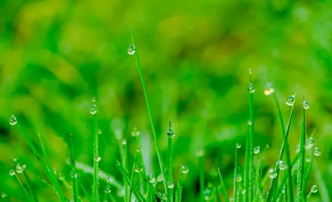 二十四节气|小满