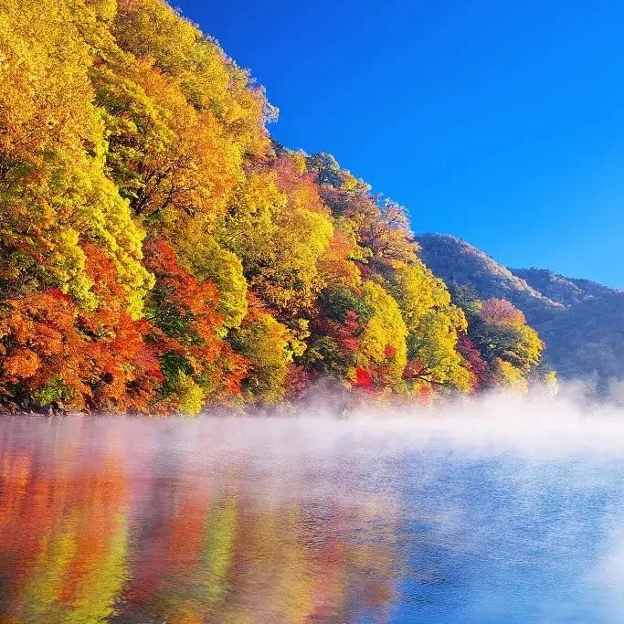 二十四节气|秋分