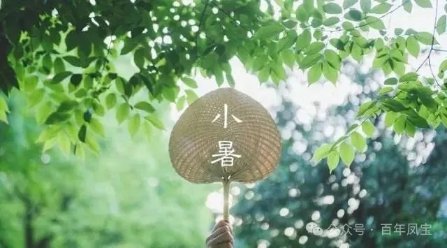 05.webp.jpg 05.webp.jpg